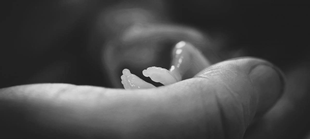 Stichting Still - 2